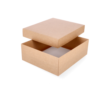 DDP-26: 300 x 250 x 100 mm two-piece box 2