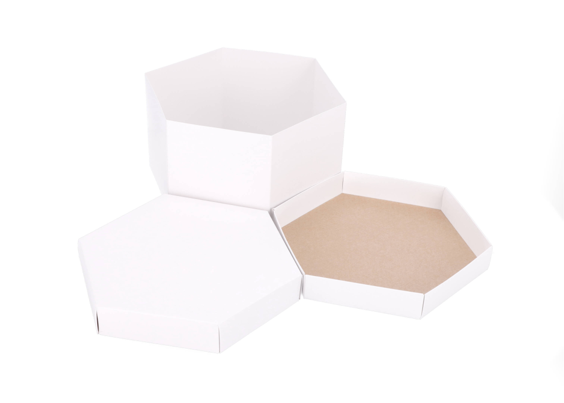 DT-S: 245 x 245 x 150 mm. šešiakampė dėžė tortui 1
