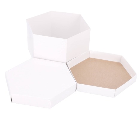 DT-S: 245 x 245 x 150 mm. šešiakampė dėžė tortui 1
