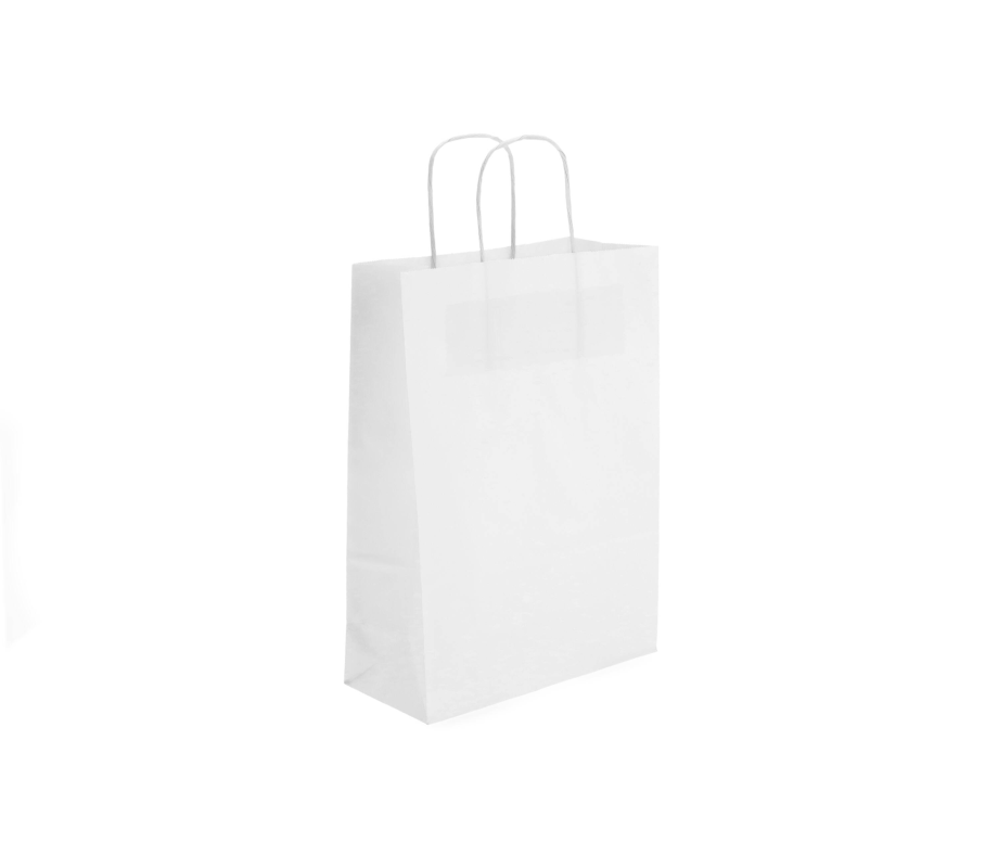 TW-3: 220 x 100 x 310 mm paper bag with twist paper handles 1