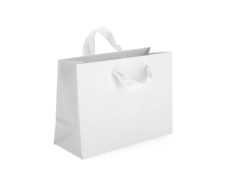 VIP-1: 300 x 120 x 220 mm paper bag with fabric handles 2
